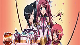 Shin Koihime†Musou 2